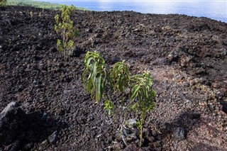 Réunion