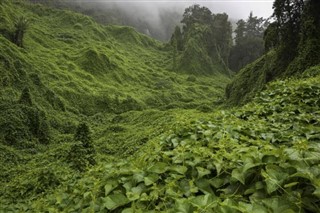 Réunion