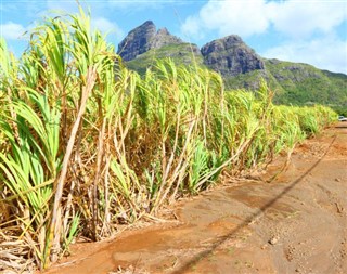 Réunion