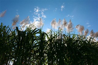 পুনর্মিলন