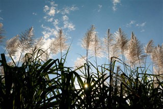 Réunion