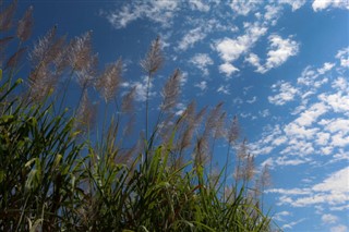 Réunion