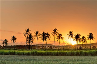 ரீயூனியன்