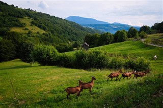 România