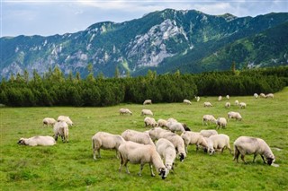 România