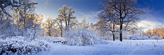 Русија