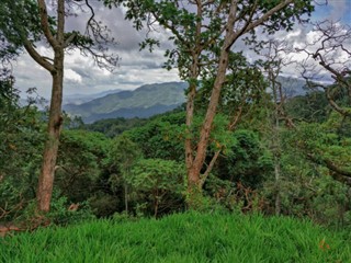 রুয়ান্ডা