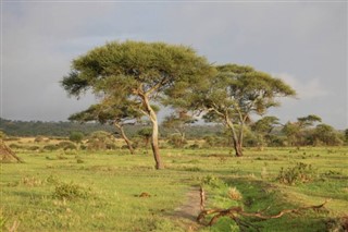 রুয়ান্ডা