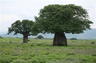 রুয়ান্ডা