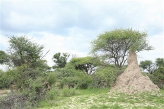 Rúanda