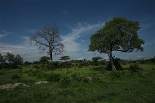 রুয়ান্ডা