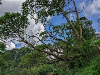 রুয়ান্ডা