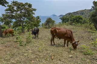 রুয়ান্ডা