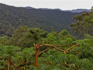 রুয়ান্ডা