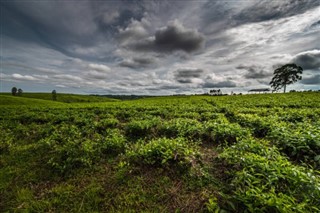 রুয়ান্ডা