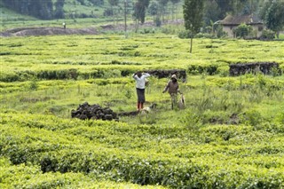 রুয়ান্ডা