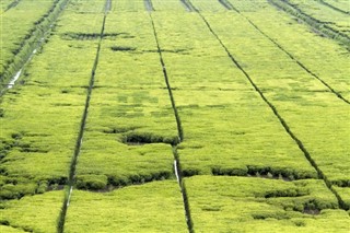 রুয়ান্ডা