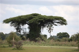 Rúanda