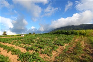 圣基茨和尼维斯