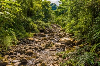 Saint-Vincent-et-les-Grenadines