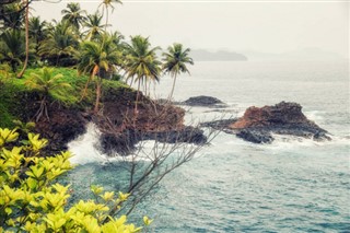 சாவ்