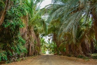 Saudi-Arabia