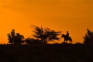 Saudi-Arabia