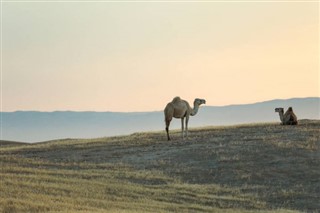 Саудијска