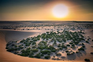 サウジアラビア