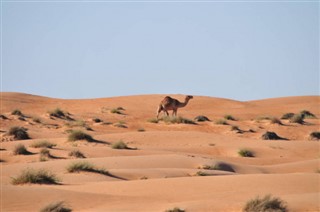 サウジアラビア