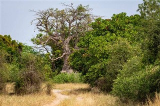 Sénégal