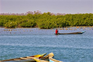 Senegalas