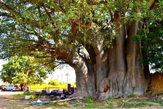 Senegal