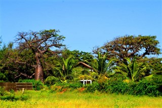 সেনেগাল