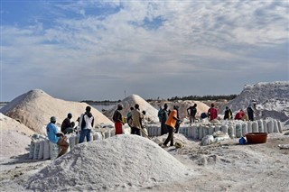 Senegalas