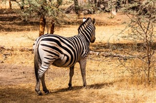 Sénégal