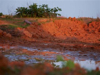 Senegalas