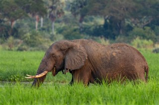 Sénégal