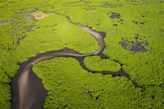 Senegalas