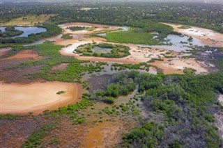 Senegalas