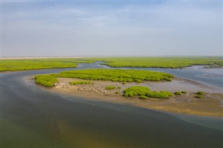 সেনেগাল