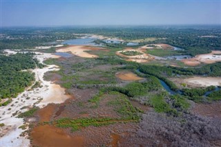 Senegalas