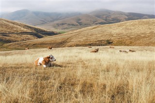 Србија