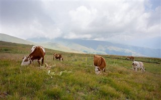 Србија