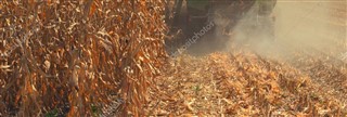 செர்பியா