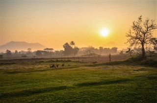 সার্বিয়া