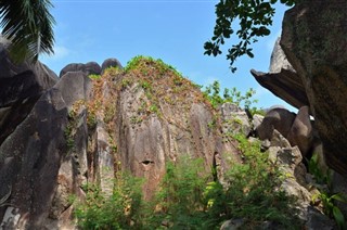 Seychellit