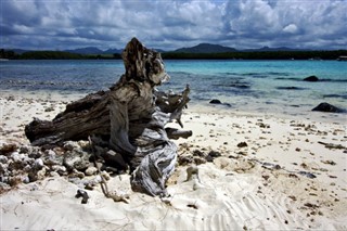 Seychellit