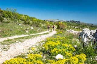 סלובניה