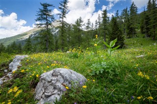 Slovenija